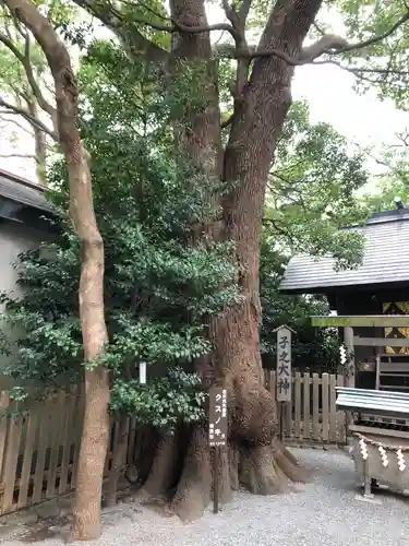 伊勢山皇大神宮の自然