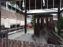 須賀神社の自然