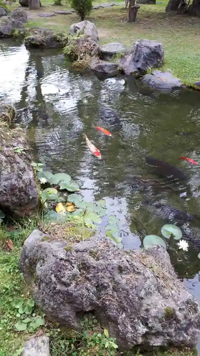 北海道護國神社の動物