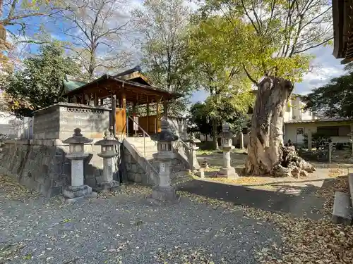 若宮八幡神社(滋賀県)