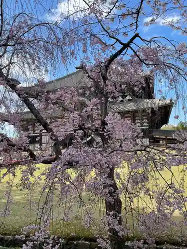 東大寺(奈良県)
