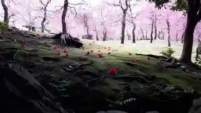 城南宮(京都府)