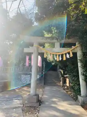 前玉神社(埼玉県)