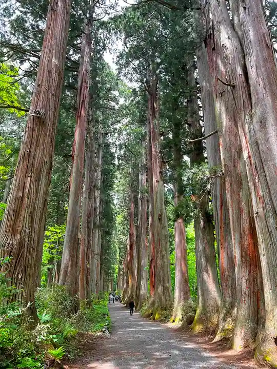 戸隠神社奥社のその他建物