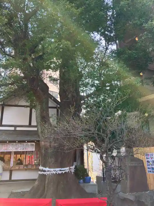 上目黒氷川神社(東京都)