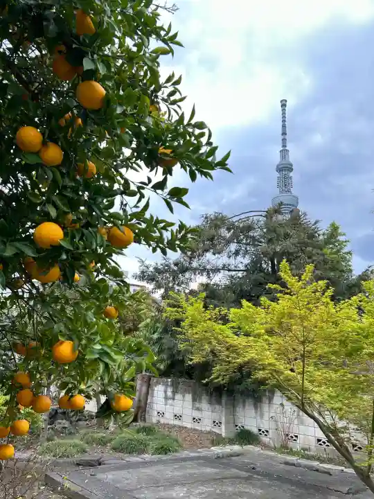 弘福寺(東京都)