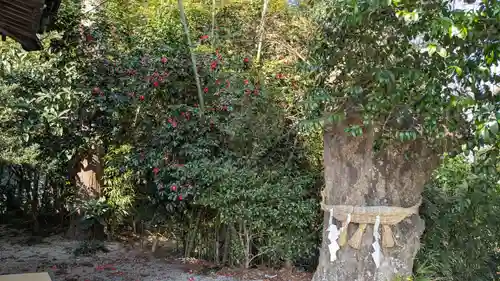 立鉾鹿島神社の自然