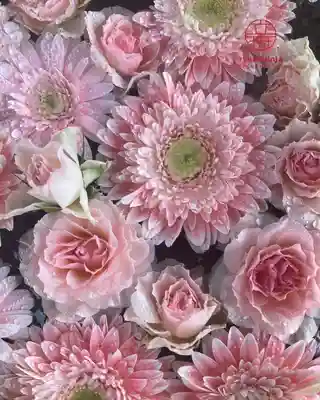 立志神社(滋賀県)