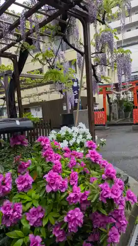 藤之宮　春日神社（野田の藤跡）(大阪府)