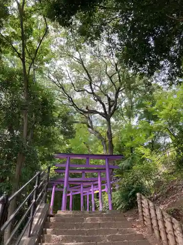 足利織姫神社(栃木県)