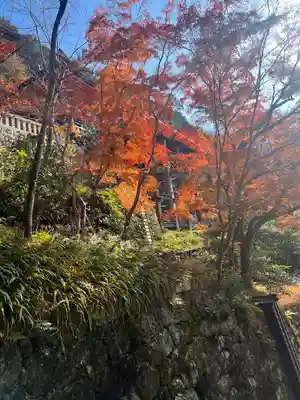 清水寺(京都府)