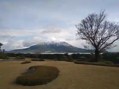 猫神社(鹿児島県)