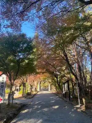 身曾岐神社(山梨県)