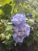 石都々古和気神社(福島県)