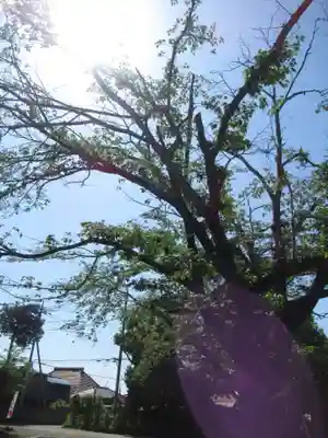伏木香取神社(茨城県)