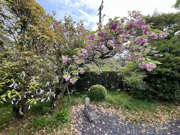 光三寶荒神社(和歌山県)
