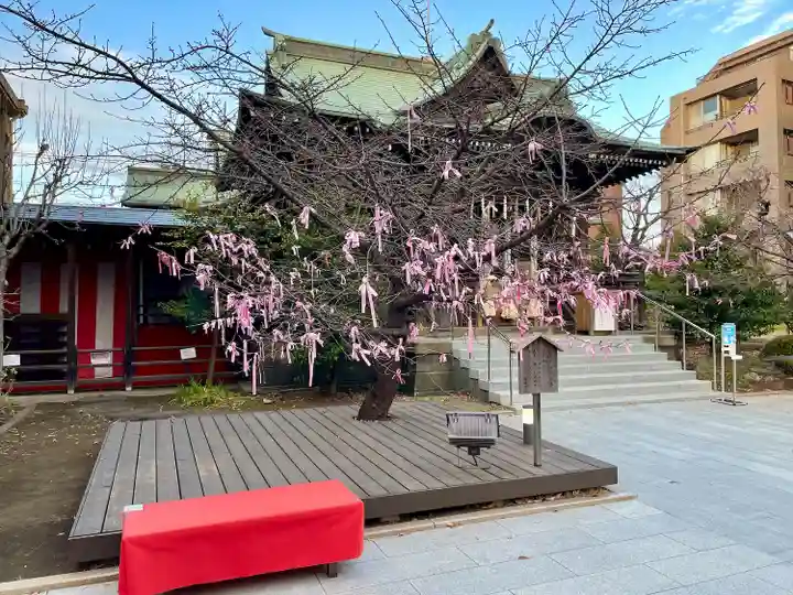 桜神宮(東京都)