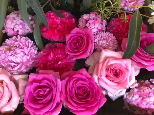 坂本八幡神社(徳島県)