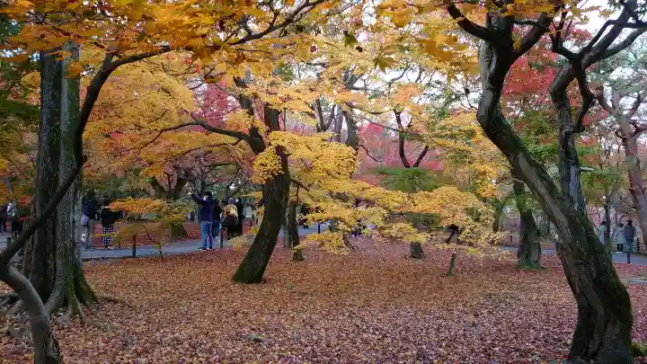 東福禅寺(東福寺)の{uncategorized: "未分類", other: "その他", undefined: "問題あり", building: "その他建物", grave: "お墓", sacred_gate: "鳥居", guardian: "狛犬", statue: "像", buddha: "仏像", history: "歴史", nature: "自然", garden: "庭園", animal: "動物", pagoda: "塔", temizu: "手水舎", mountain_gate: "山門・神門", sanctuary: "本殿・本堂", subordinate: "末社・摂社", art: "芸術", scenery: "景色", jizo: "地蔵", ema: "絵馬", goshuin: "御朱印", omikuji: "おみくじ", items: "授与品その他", amulet: "お守り", goshuincho: "御朱印帳", eats: "食事", festival: "お祭り", votive_dance: "神楽", shichigosan: "七五三参", wedding: "結婚式", experience: "体験その他", initially: "初詣", around: "周辺", anti_infection: "感染症対策"}