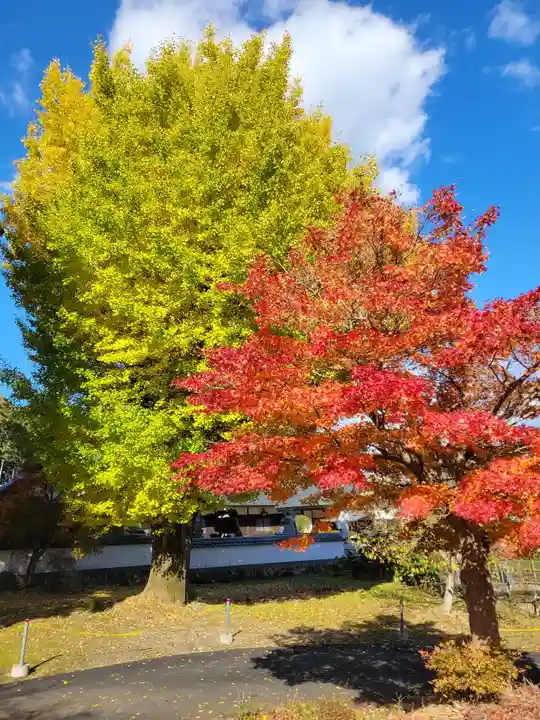 万松寺(兵庫県)