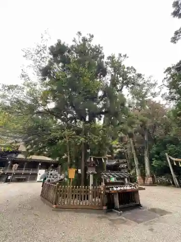 大神神社(奈良県)