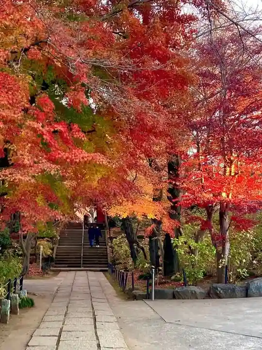 本土寺(千葉県)