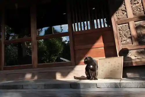 白山神社の動物