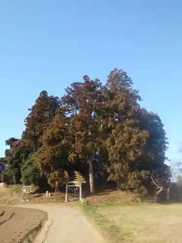 鹿島神社の周辺