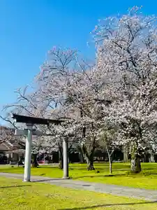 守りの神 藤基神社の鳥居(2024年04月12日(金) 21時31分31秒投稿)