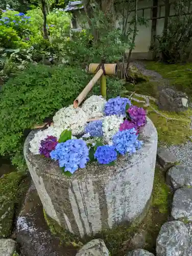 一條殿 新善光寺(京都府)