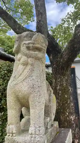 美具久留御魂神社の狛犬