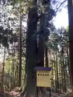 笠形神社の自然