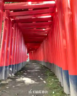 清洲山王宮　日吉神社(愛知県)