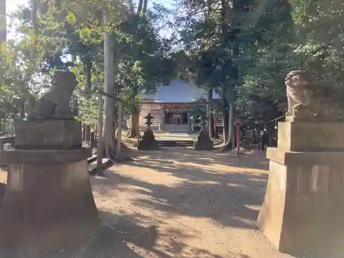 久伊豆神社の狛犬