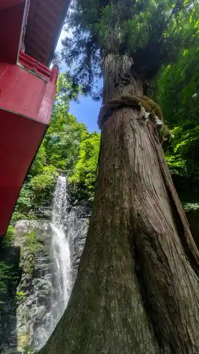 大正寺(中野不動尊)(福島県)