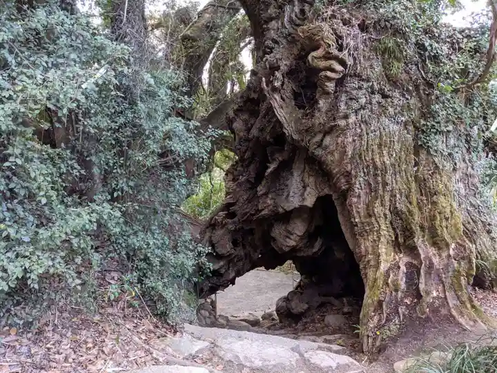 大山祇神社奥の院 生樹の御門(愛媛県)