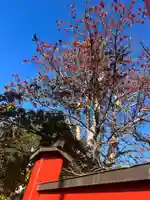 手力雄神社(岐阜県)