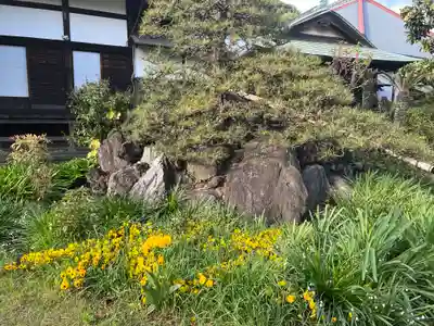 金蔵寺(神奈川県)