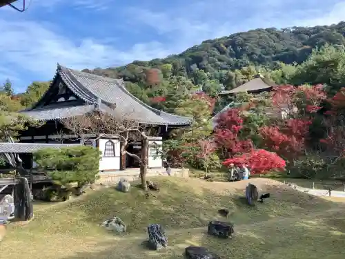 高台寺（高台寿聖禅寺・高臺寺）(京都府)