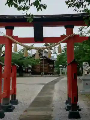 上大久保氷川神社の{uncategorized: "未分類", other: "その他", undefined: "問題あり", building: "その他建物", grave: "お墓", sacred_gate: "鳥居", guardian: "狛犬", statue: "像", buddha: "仏像", history: "歴史", nature: "自然", garden: "庭園", animal: "動物", pagoda: "塔", temizu: "手水舎", mountain_gate: "山門・神門", sanctuary: "本殿・本堂", subordinate: "末社・摂社", art: "芸術", scenery: "景色", jizo: "地蔵", ema: "絵馬", goshuin: "御朱印", omikuji: "おみくじ", items: "授与品その他", amulet: "お守り", goshuincho: "御朱印帳", eats: "食事", festival: "お祭り", votive_dance: "神楽", shichigosan: "七五三参", wedding: "結婚式", experience: "体験その他", initially: "初詣", around: "周辺", anti_infection: "感染症対策"}