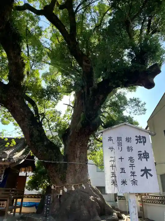大神社(和歌山県)
