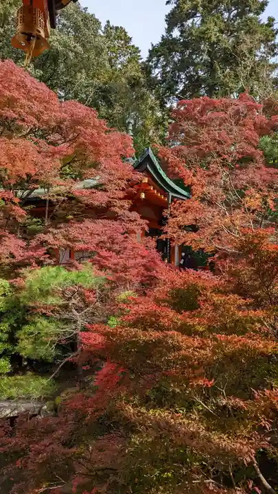 毘沙門堂門跡(京都府)