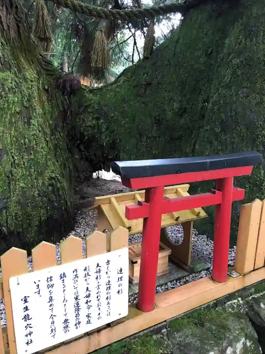 室生龍穴神社(奈良県)