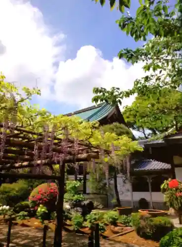 愛染院(東京都)