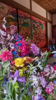 隨心院(随心院)(京都府)