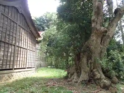 篠原神社のその他建物