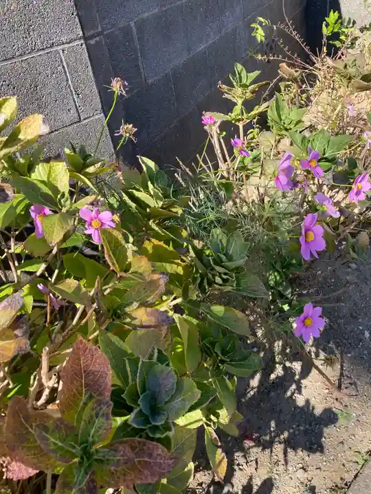 上国寺(神奈川県)
