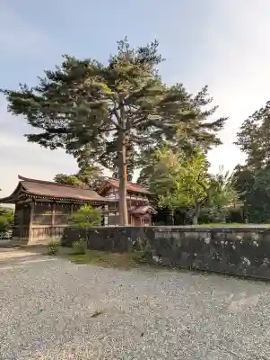 天津神社(新潟県)