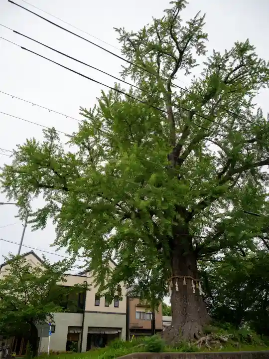 津島神社 御旅所跡(愛知県)