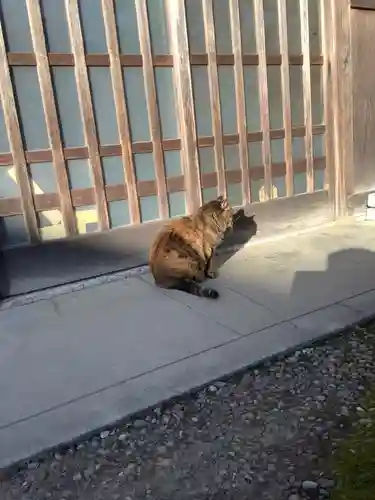 矢合観音の動物